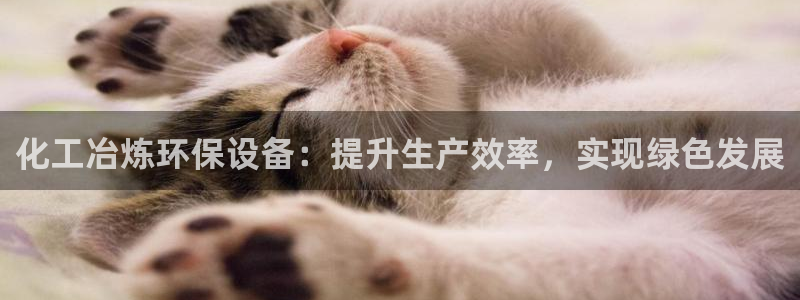 亿万先生是男是女：化工冶炼环保设备：提升生产效率，实现绿色发展