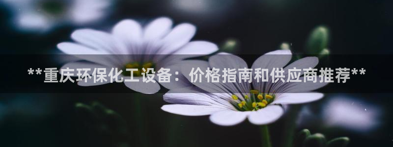 亿万先生客服联系方式：**重庆环保化工设备：价格指南和供应商推荐**