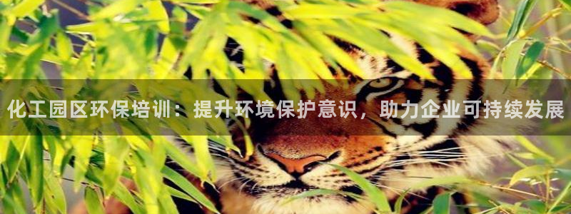 亿万剧情详解：化工园区环保培训：提升环境保护意识，助力企业可持续发展