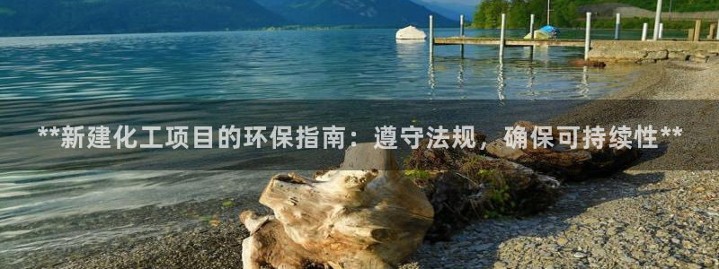 亿万网络：**新建化工项目的环保指南：遵守法规，确保可持续性**
