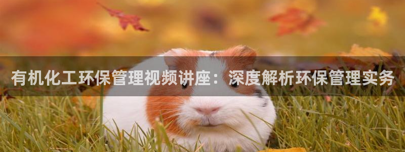 亿万先生是男是女：有机化工环保管理视频讲座：深度解析环保管理实务