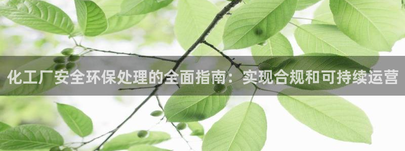 亿万先生mr07官网：化工厂安全环保处理的全面指南：实现合规和可持续运营