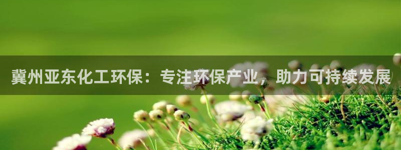 亿万先生手机版入：冀州亚东化工环保：专注环保产业，助力可持续发展
