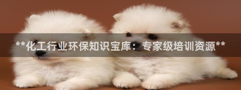 亿万国际游戏官网：**化工行业环保知识宝库：专家级培训资源**