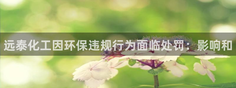 亿万笞人：远泰化工因环保违规行为面临处罚：影响和