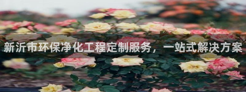 亿万 在线：新沂市环保净化工程定制服务，一站式解决方案