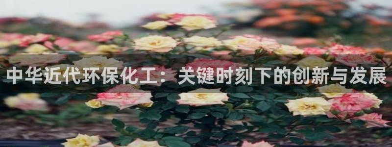 亿万先生换网址了吗：中华近代环保化工：关键时刻下的创新与发展
