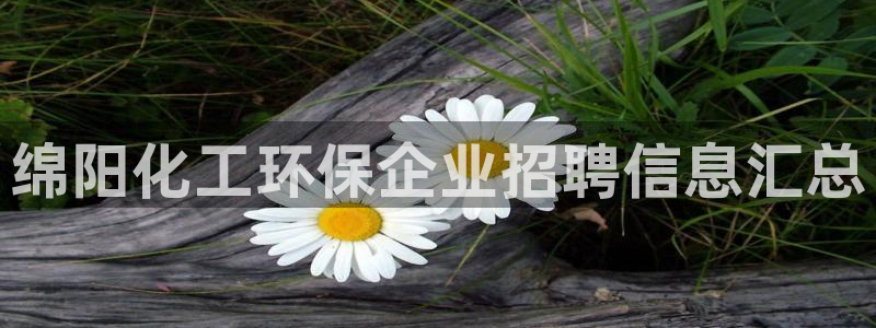 亿万先生客户端官网：绵阳化工环保企业招聘信息汇总