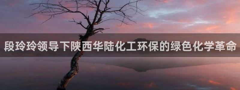 亿万首富游戏：段玲玲领导下陕西华陆化工环保的绿色化学革命