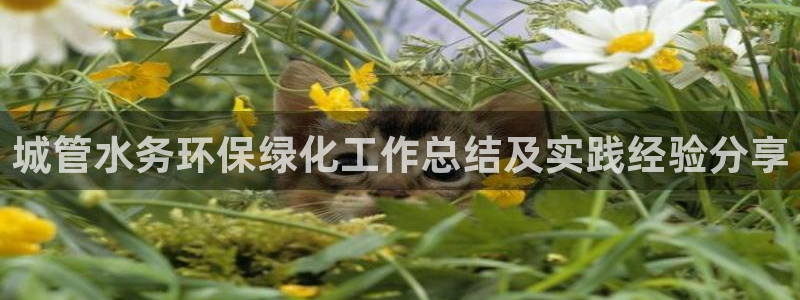 mr8001亿万先生在线存款：城管水务环保绿化工作总结及实践经验分享