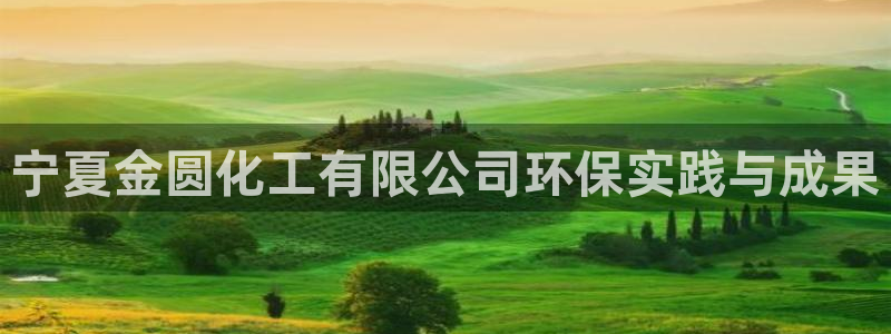 mr8001亿万先生：宁夏金圆化工有限公司环保实践与成果