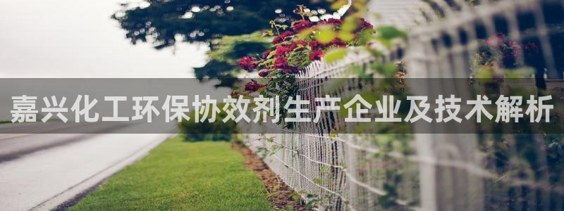 亿万先生客户端：嘉兴化工环保协效剂生产企业及技术解析