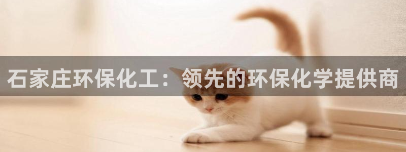 亿万先生游戏：石家庄环保化工：领先的环保化学提供商