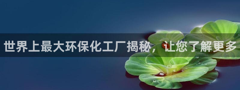 亿万官网字幕组官网下载：世界上最大环保化工厂揭秘，让您了解更多