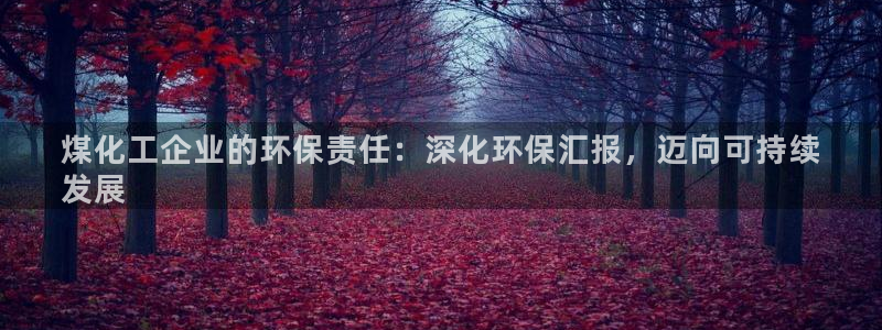 亿万先生官方网站客户端下载安装最新版：煤化工企业的环保责任：深化环保汇报，迈向可持续
发展
