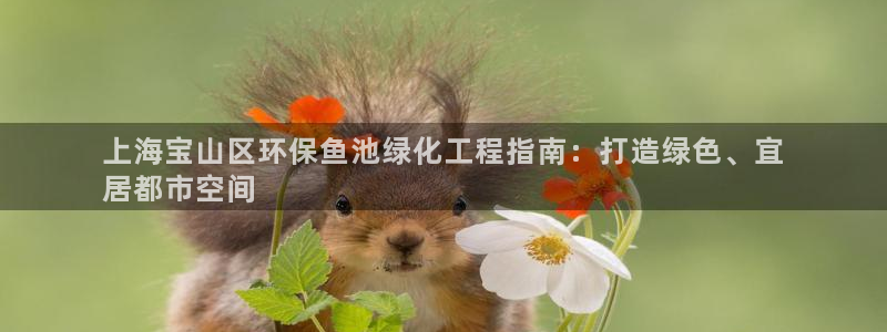 亿万下载第三季：上海宝山区环保鱼池绿化工程指南：打造绿色、宜
居都市空间